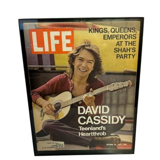 LIFE magazine – David Cassidy cover – vintage framed