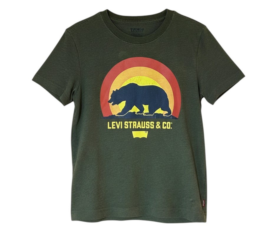 Boy's Levi’s Graphic T Shirt