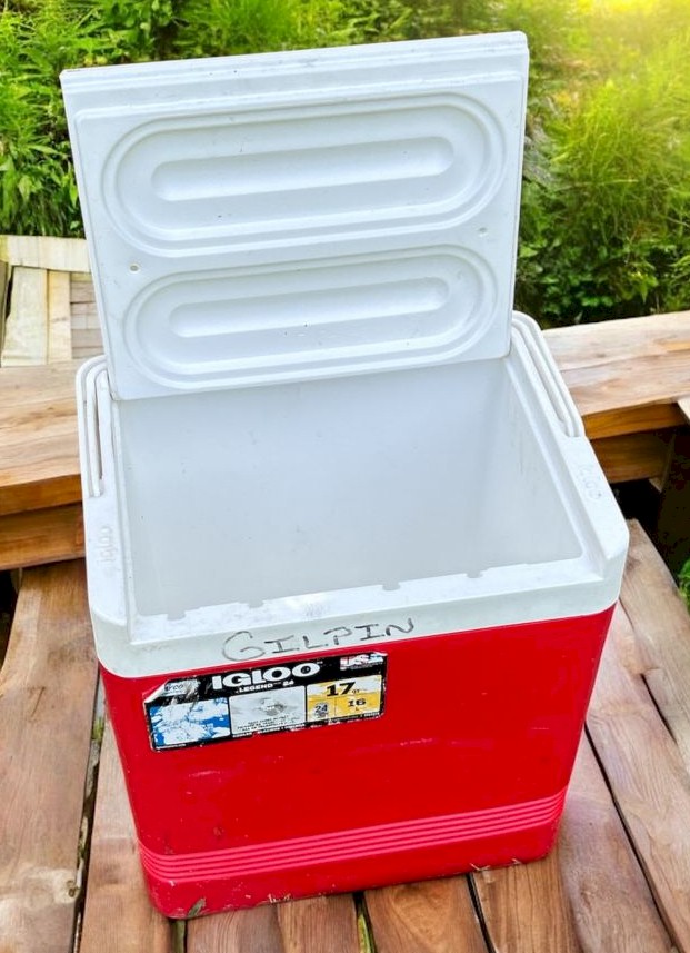 Igloo 17 Qt Cooler