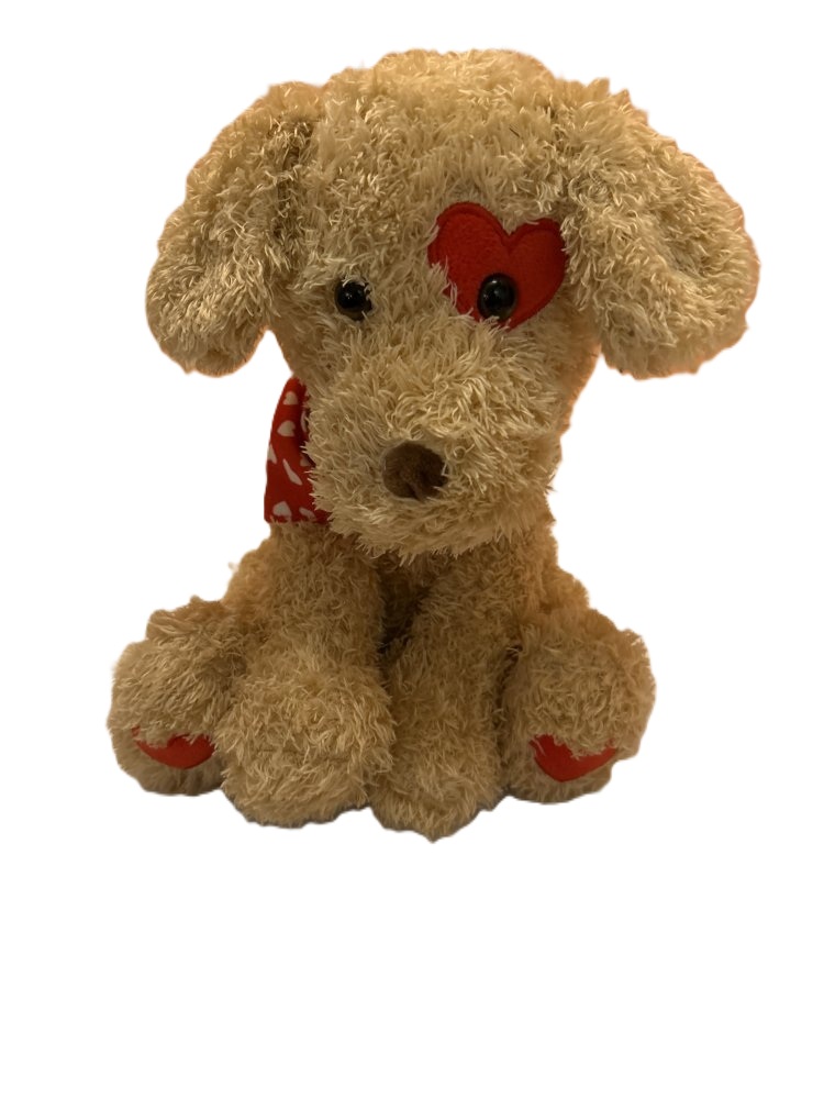 Plush Teddy Bear with Heart Accents 10"