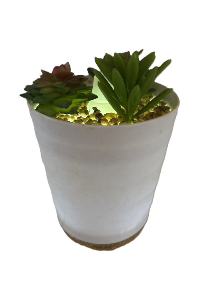 Lamp & Diffuser Succulent Pot 8.5"