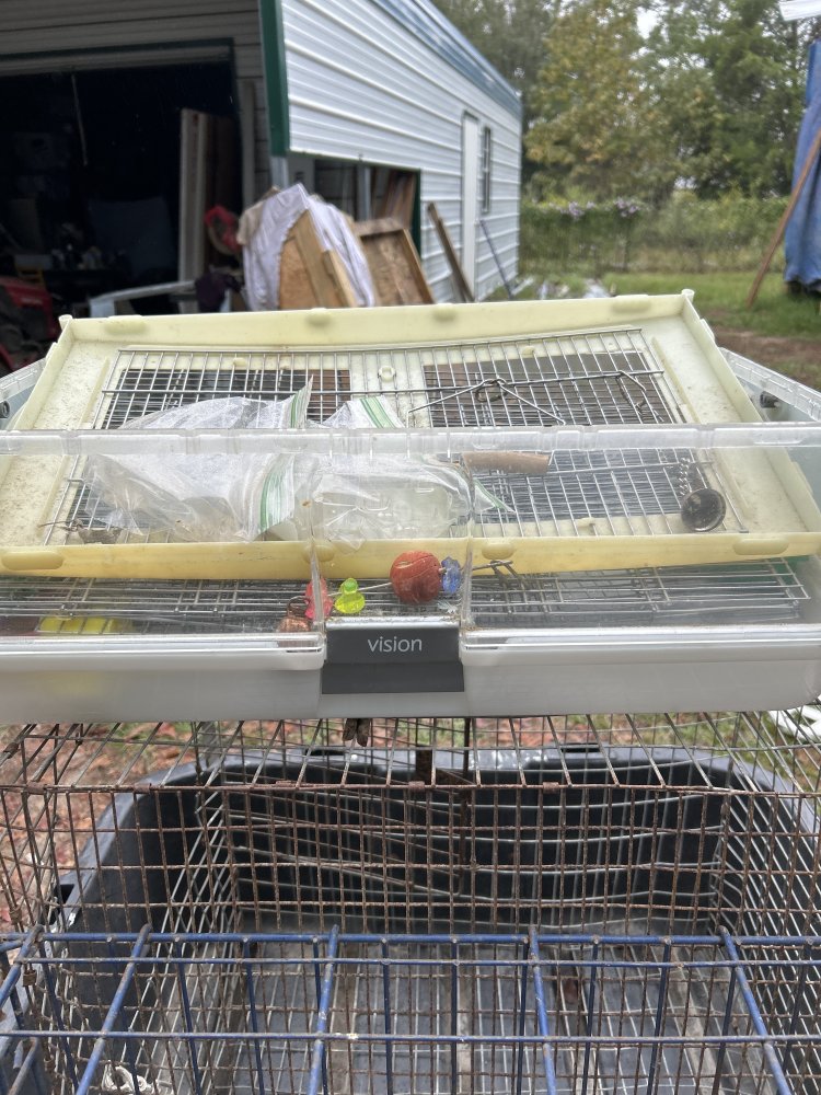 Bird Cage - Vision Multi-Level with Accessories