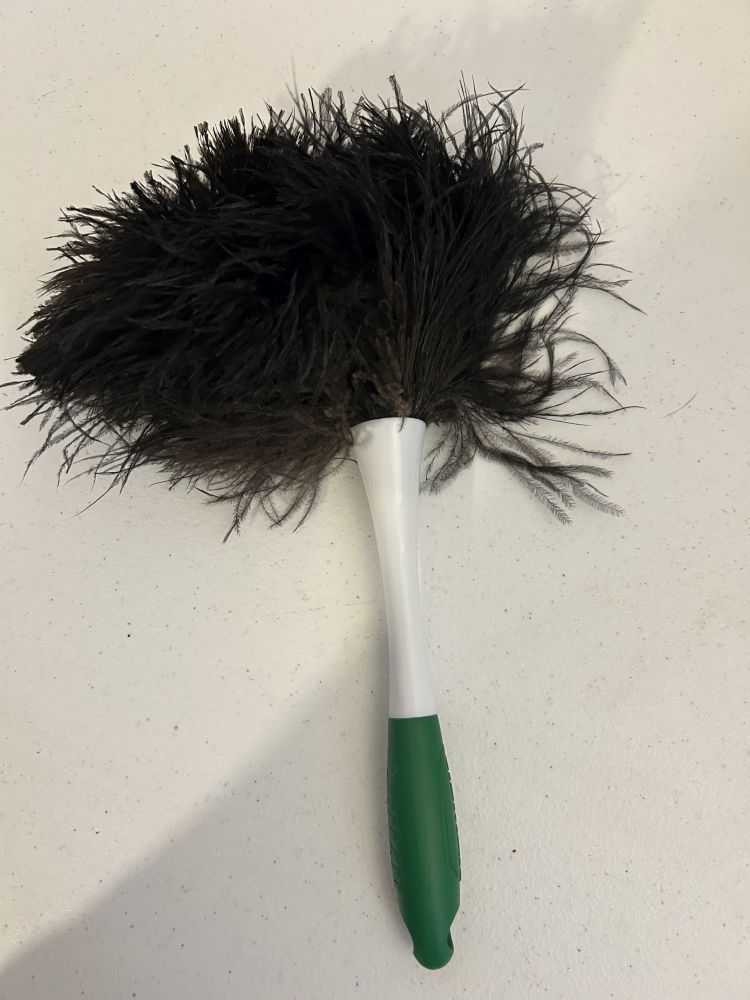 Feather Duster with Green Handle