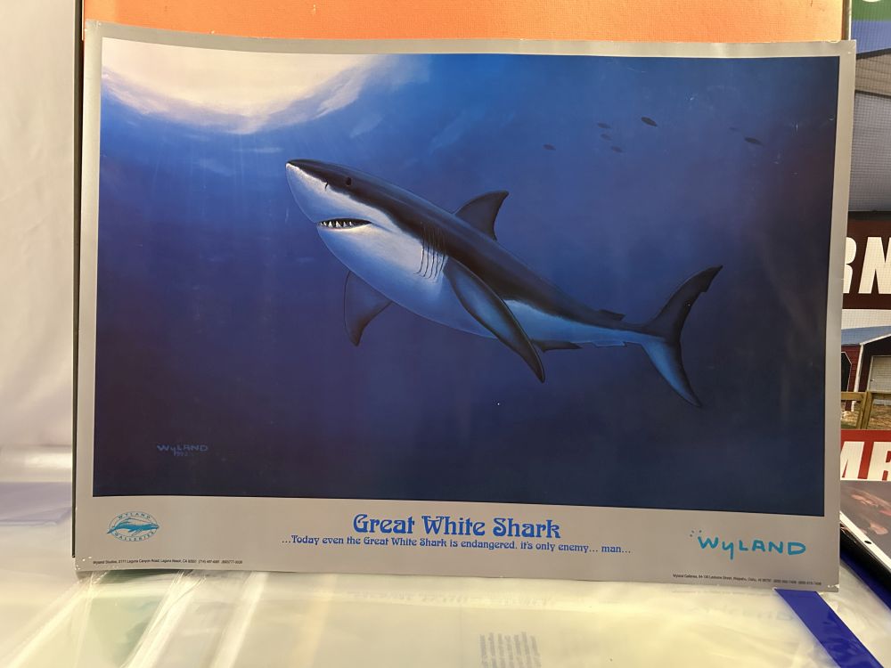 Wyland Gallery 1990s Original Print Great White Shark 19x26 Mint