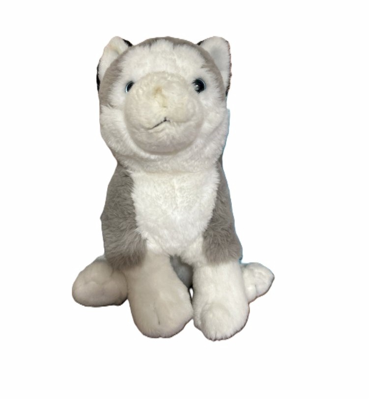 Plush Husky Dog Toy - 10"