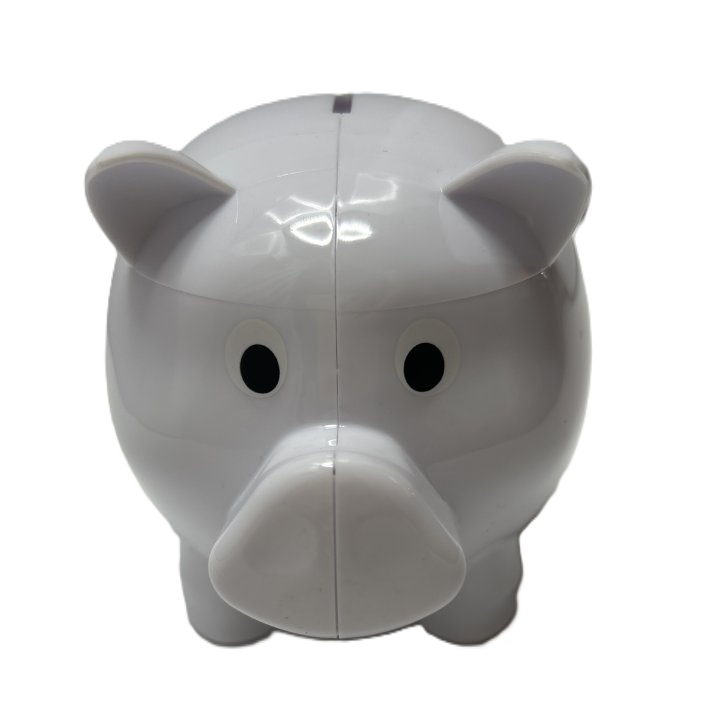 Plastic Piggy Bank - Citizens State Bank Logo