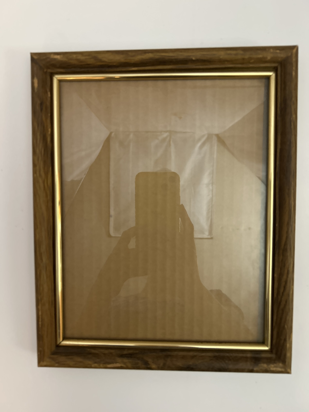 Picture Frame - Wood with Gold Trim, 8x10